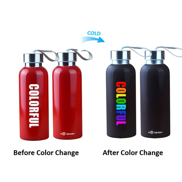 Color Changing Stainless Bottle